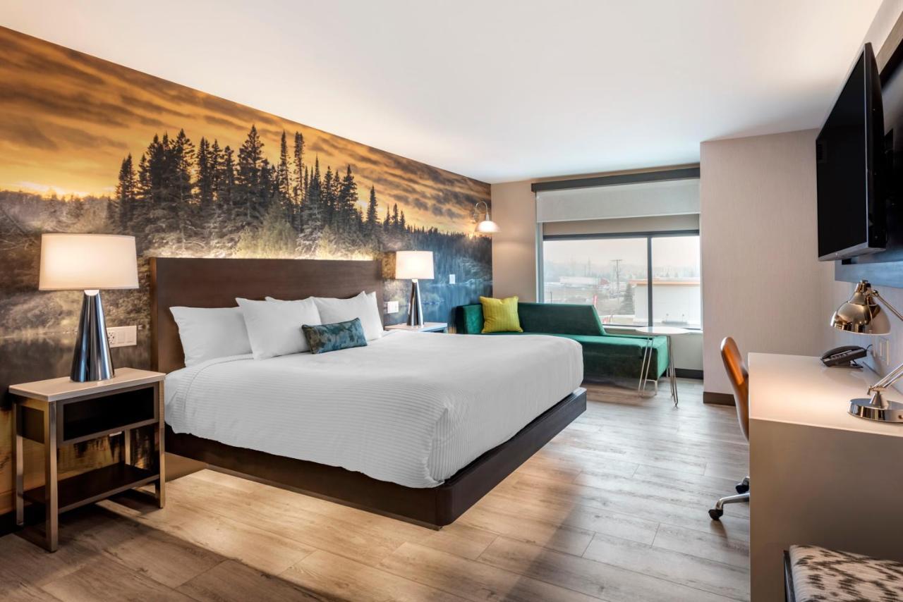 Cambria Hotel Shelby Township - Detroit Utica Shelby Twp Exteriör bild