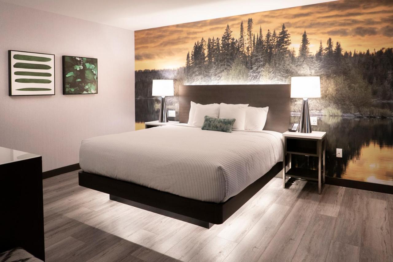 Cambria Hotel Shelby Township - Detroit Utica Shelby Twp Exteriör bild