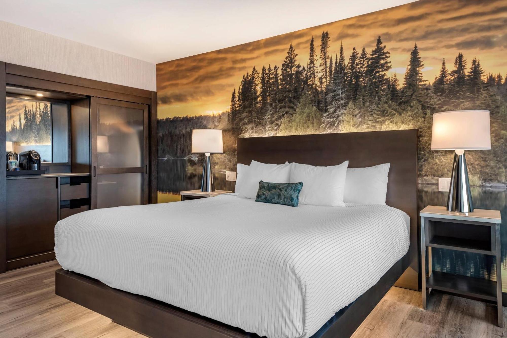 Cambria Hotel Shelby Township - Detroit Utica Shelby Twp Exteriör bild