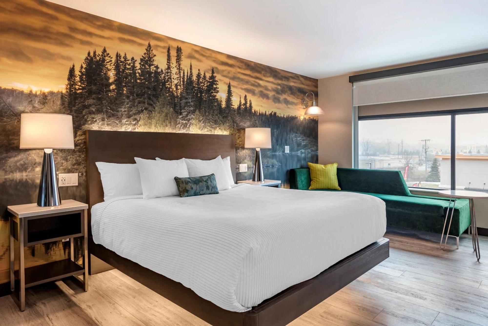 Cambria Hotel Shelby Township - Detroit Utica Shelby Twp Exteriör bild